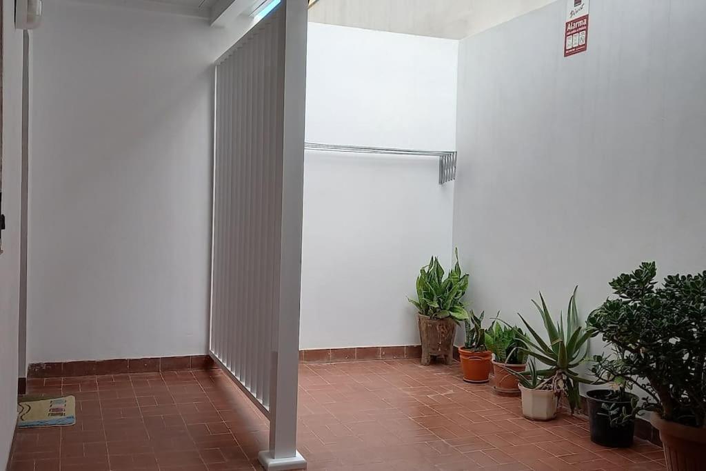 Amplio Apartamento Con Vistas Privilegiadas Garachico  Kültér fotó